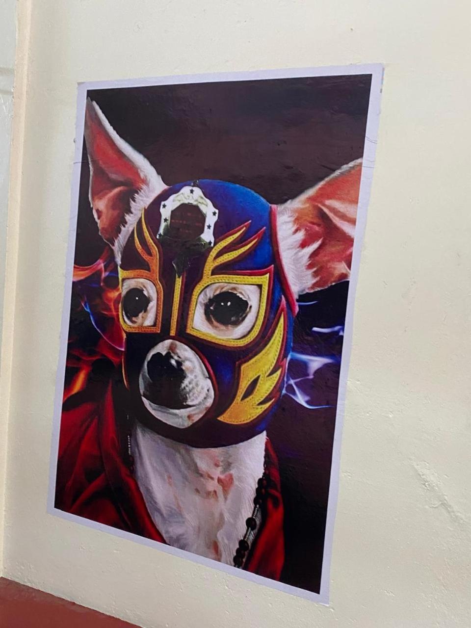 Mil Mascaras Otel Oaxaca Dış mekan fotoğraf